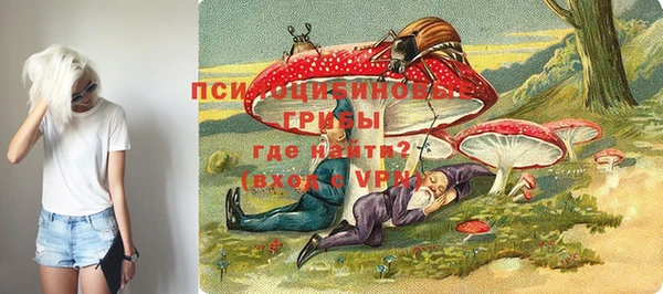 спиды Волосово