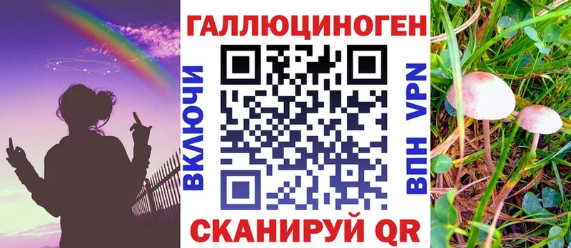даркнет сайт  Гвардейск  Галлюциногенные грибы Magic Shrooms 