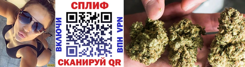 KRAKEN зеркало  Гвардейск  МАРИХУАНА Ganja 